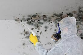 Best Mold Removal for HVAC Installations  in Bloomington, IL